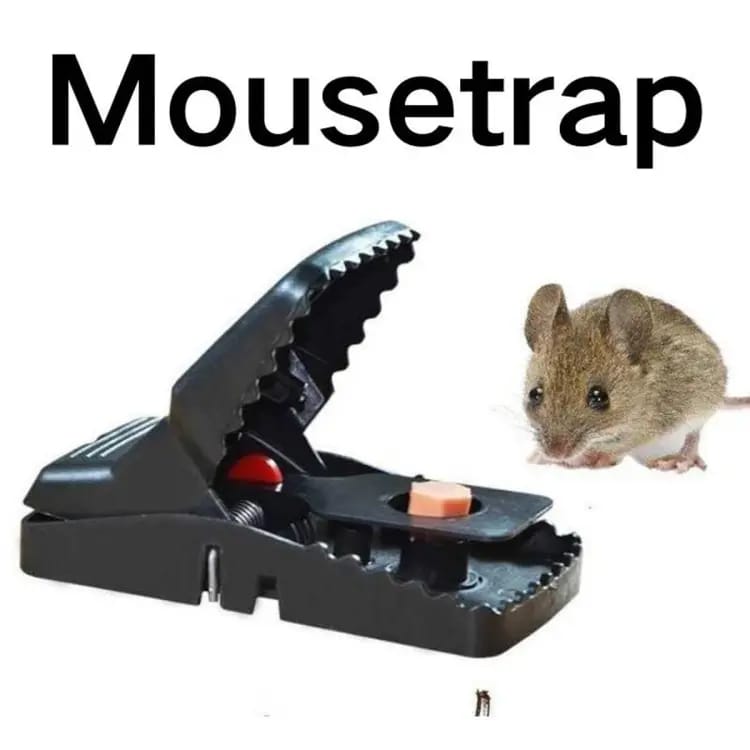 Heavy-Duty Black Mouse Trap ππ₯ | Pack of 2