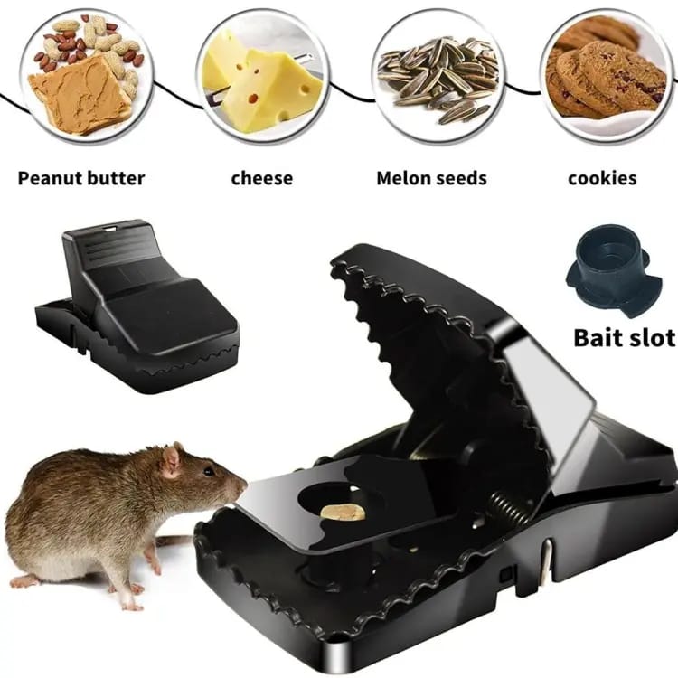 Heavy-Duty Black Mouse Trap 🐭💥 | Pack of 2